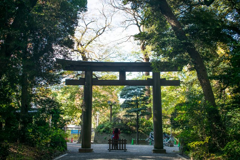 meiji shrine in tokyo