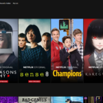 netflicks review