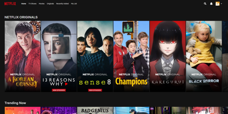 netflicks review