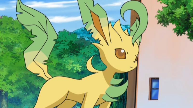 best leaf type pokemon in 2018