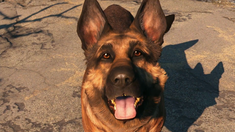 best companions and perks in fallout 4