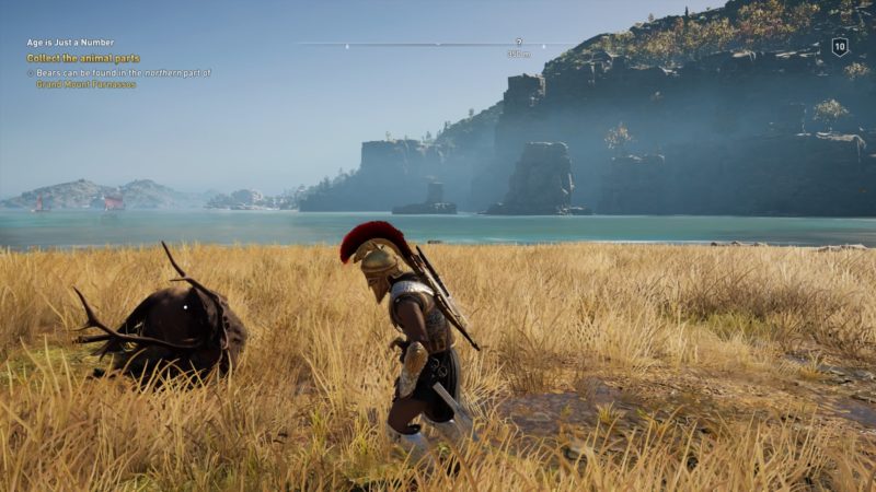 where to find bears and deers in assassins creed odyssey