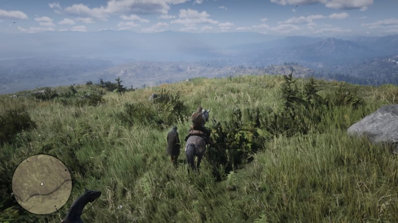 archeology-for-beginners-mission-guide-rdr-2