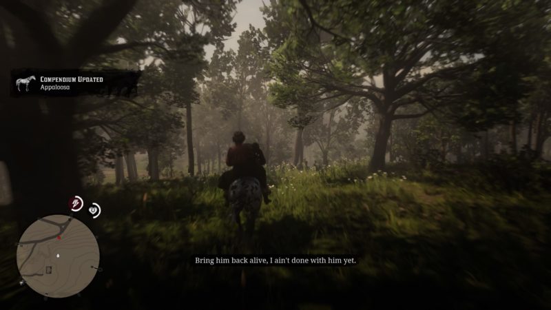 no-no-and-thrice-no-mission-guide-rdr-2