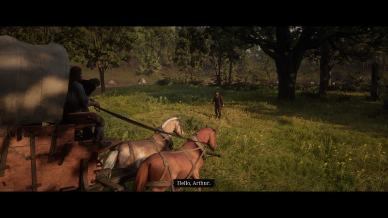 rdr-2-a-strange-kindness-mission-objectives