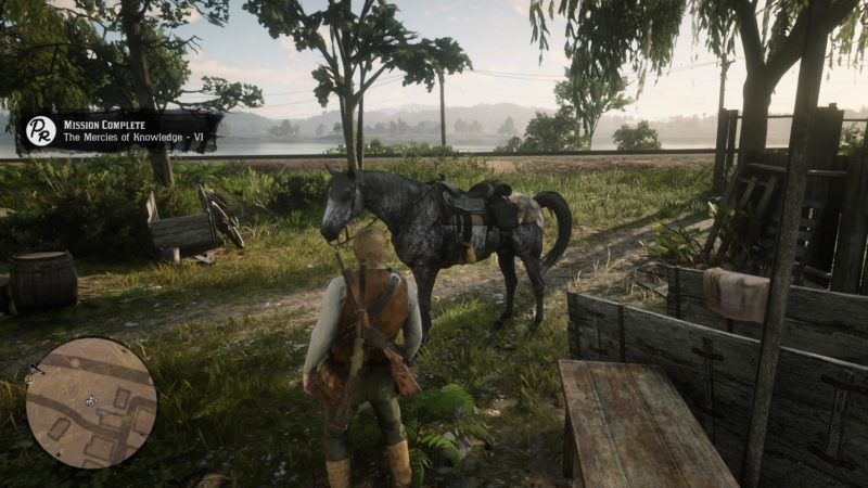 the-mercies-of-knowledge-mission-objectives-red-dead-redemption-2