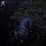 the-veteran-part-3-red-dead-redemption-2-guide