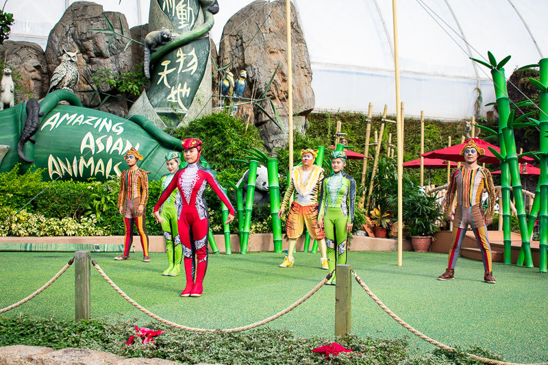 acrobatic performance in ocean park