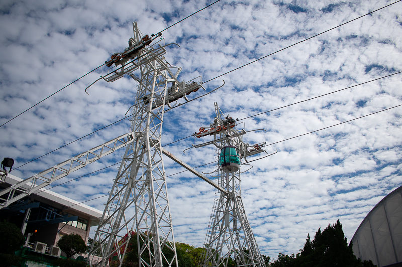 ocean park hong kong attractions