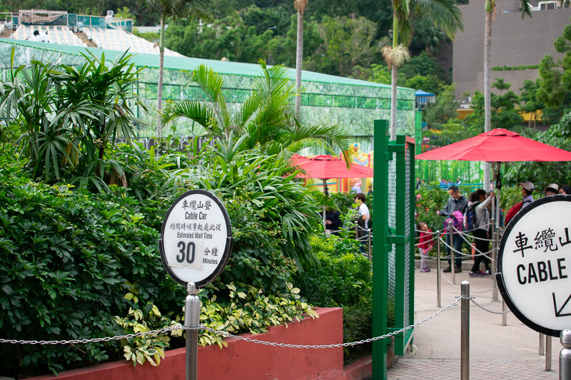 ocean park hk main attractions