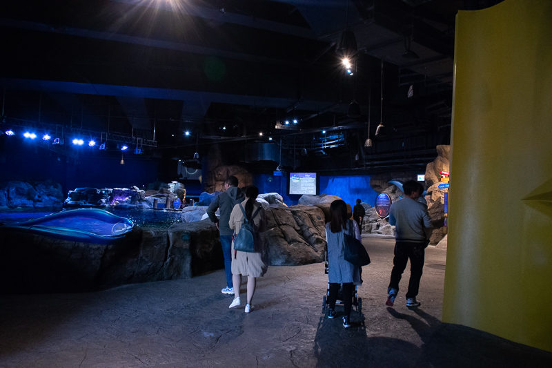 grand aquarium ocean park hong kong 2019