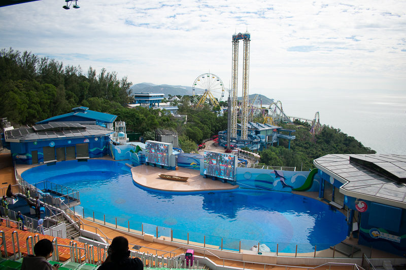 hk ocean park dolphin