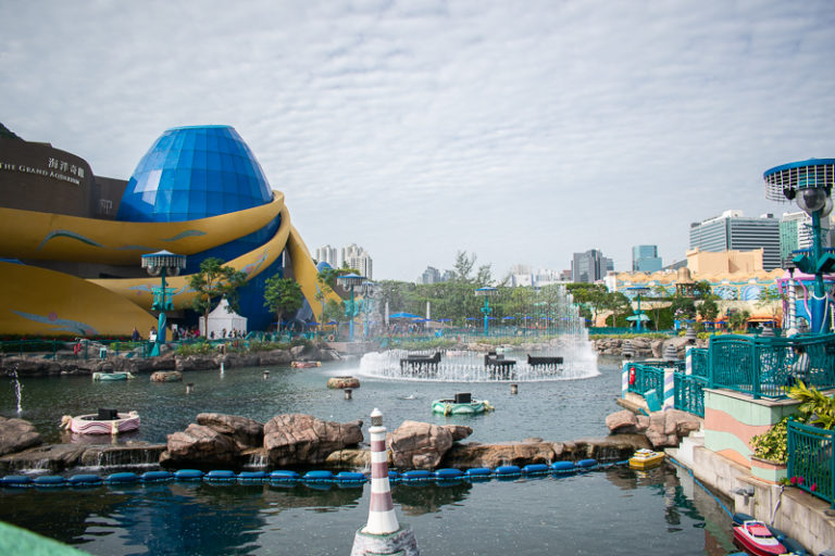 What To Do In Ocean Park Some Attractions To Check Out Today