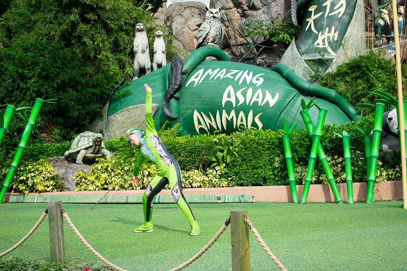 ocean park performance acrobats