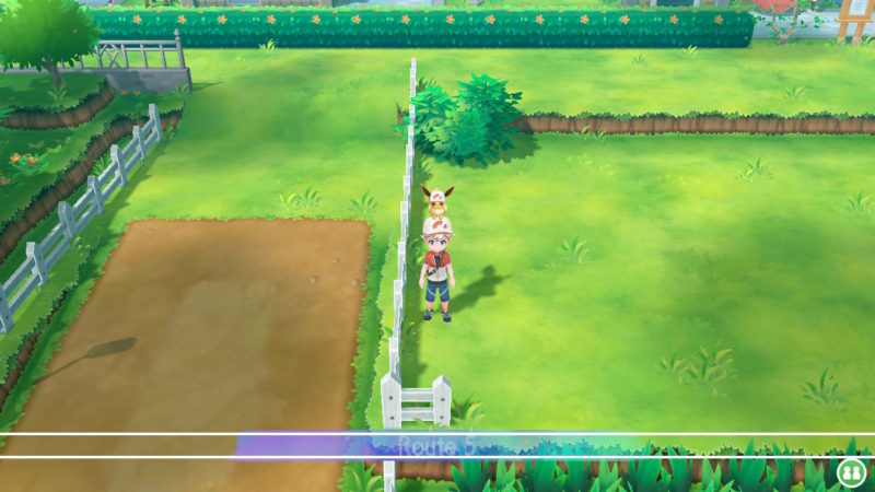 pokemon let's go route 5