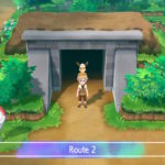 pokemon let's go route 2