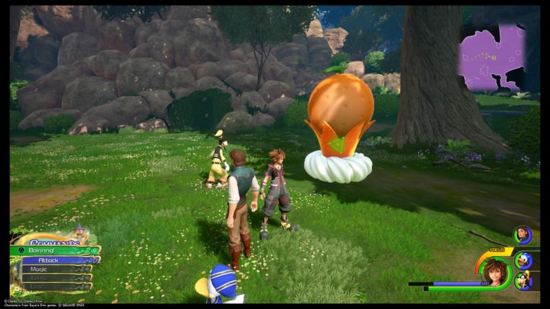 kingdom-hearts-3-location-of-all-flantastic-7