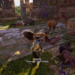 ac-odyssey-wine-for-the-swine-guide-walkthrough