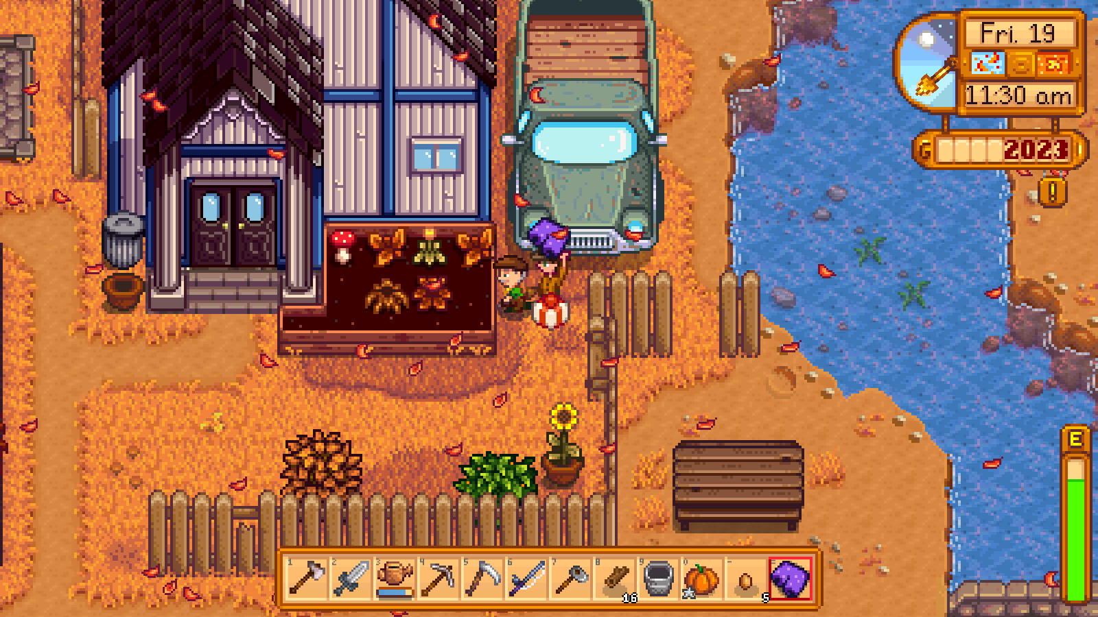 Stardew valley фиолетовая звезда. Шорты Stardew Valley. Purple shorts Stardew Valley