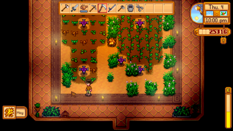 stardew valley - chickens