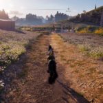 ac-odyssey-dark-horse-wiki-and-guide