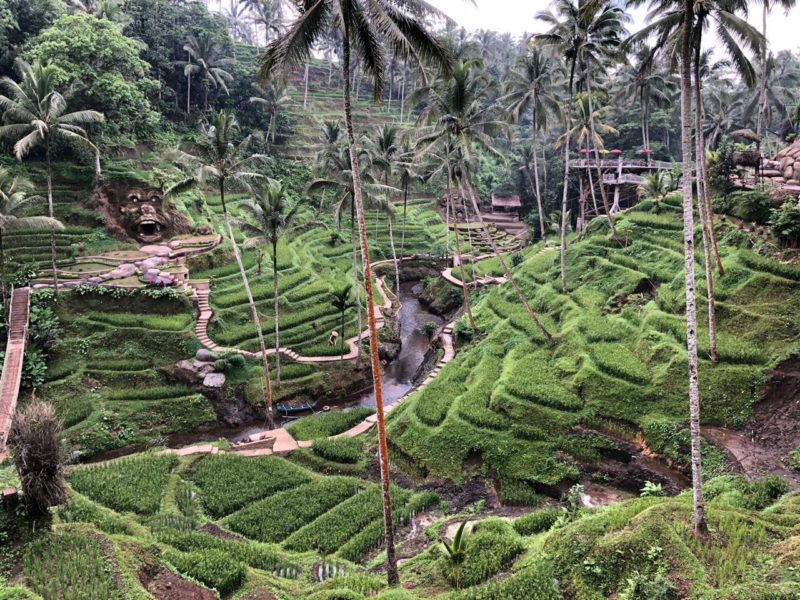 Tegalallang Rice Terrace