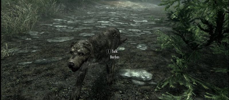 nicest skyrim follower