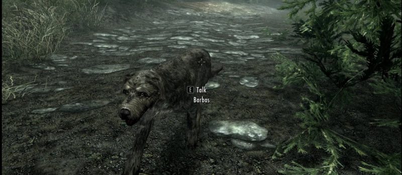 nicest skyrim follower