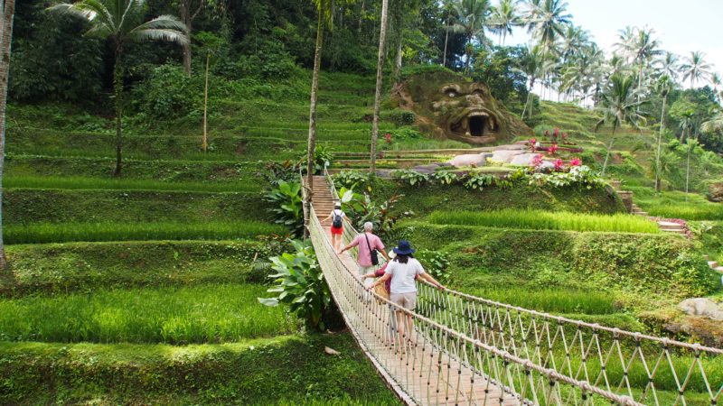 things-to-do-in-Tegalallang-Rice-Terrace