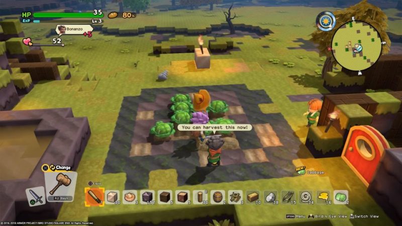 dragon quest builders 2 - furrowfield how to put scarecrow