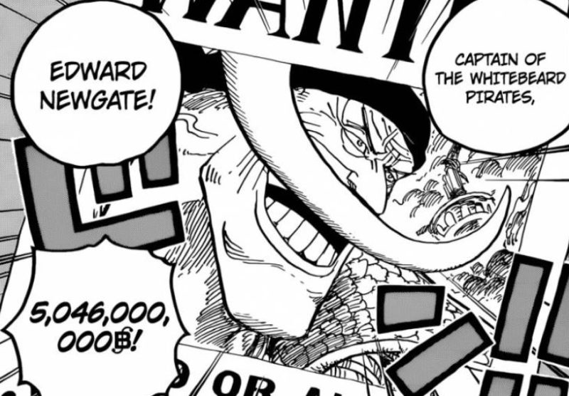 Top 7 Highest Bounties In One Piece Ordinary Reviews