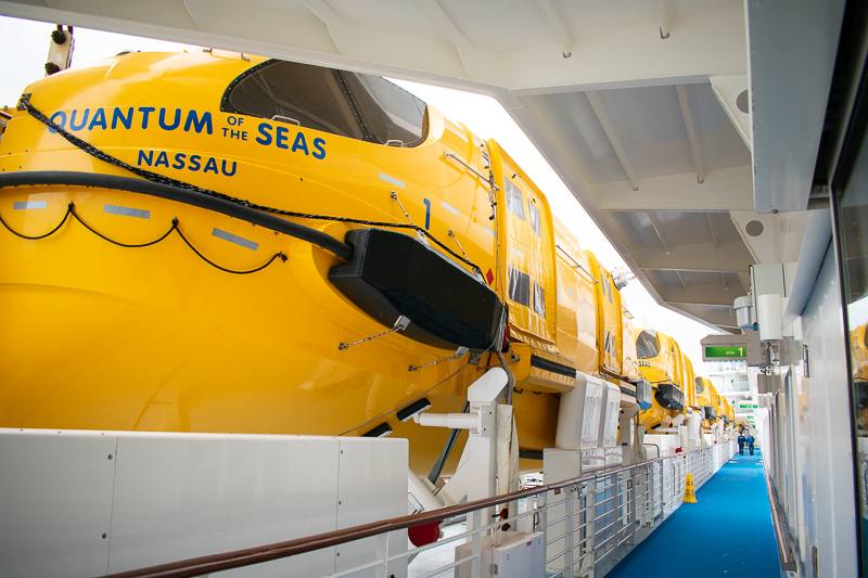 quantum of the seas assembly