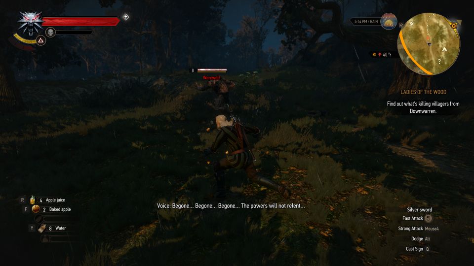 Find Out What's Killing Villagers From Downwarren Ladies Of The Wood And The Whispering Hillock: Witcher 3 Guide