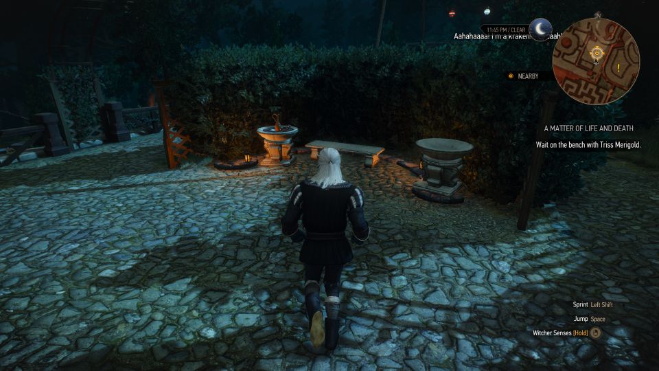A Matter Of Life And Death The Witcher 3 Walkthrough