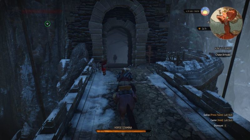 Can we talk about Cerys vs Hjalmar quest progression to King's Gambit and  how it's a one sided ordeal : r/Witcher3