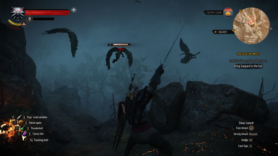 The Isle Of Mists The Witcher 3 Walkthrough And Guide