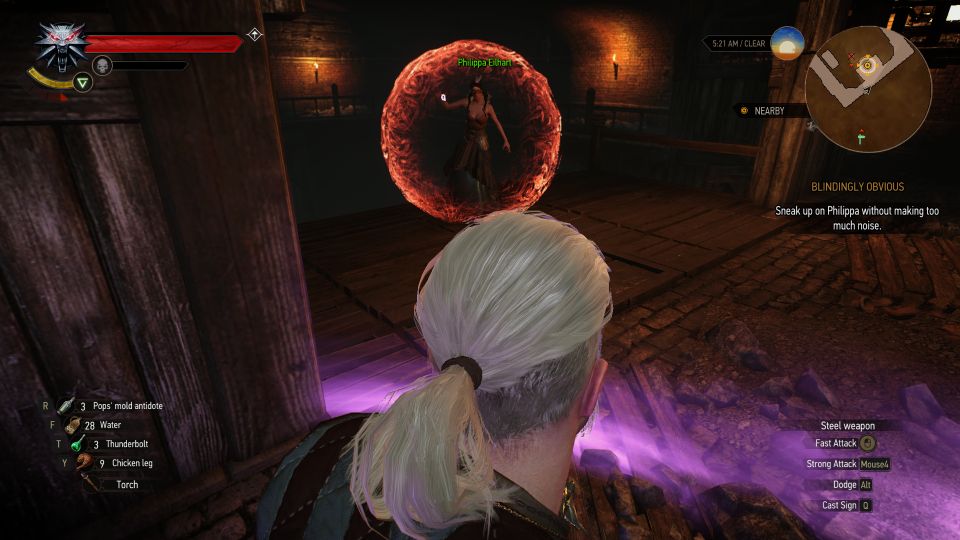 Blindingly Obvious: Witcher 3 Walkthrough And