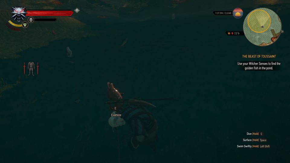 The Beast Of Toussaint The Witcher 3 Walkthrough