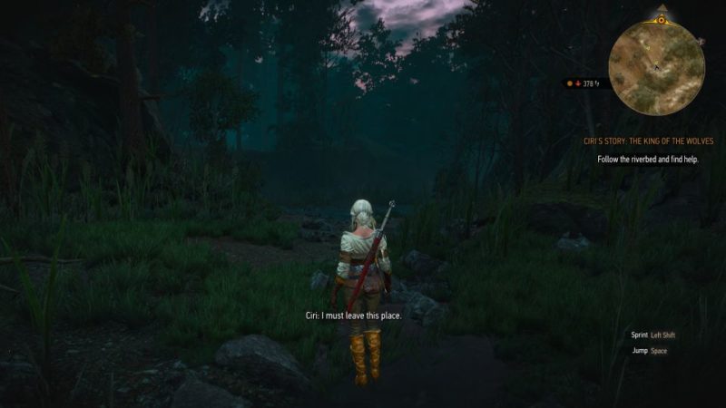 ciri's story - the king of the wolves - witcher 3 guide