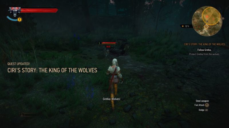 ciri's story - the king of the wolves - witcher 3 quest