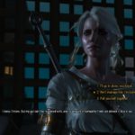 ciri's story visiting junior - witcher 3