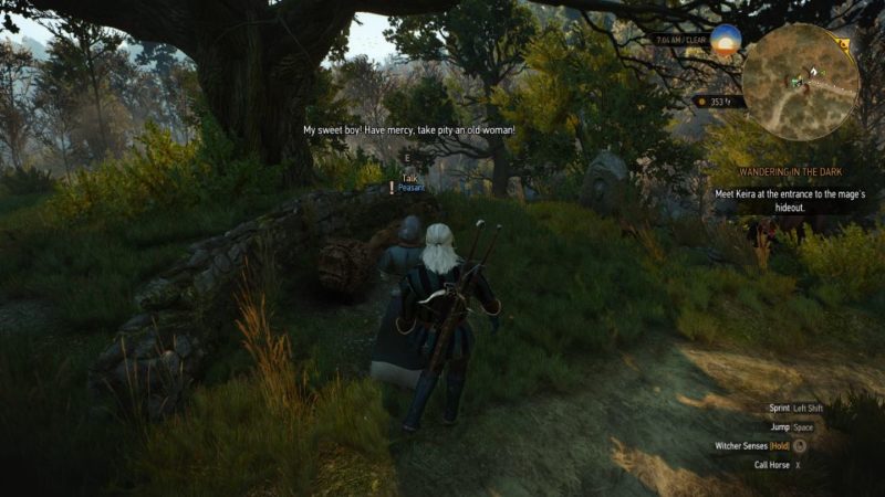 defender of the faith - witcher 3