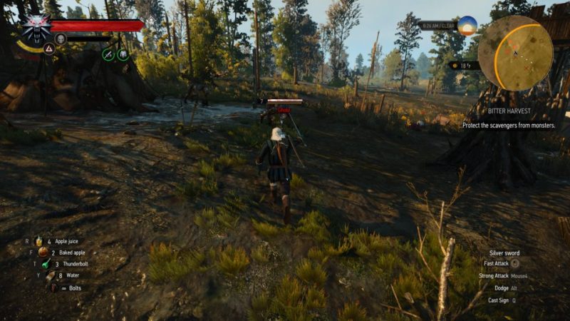 fake papers - the witcher 3 - how to get pass