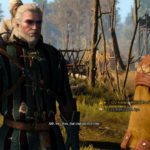 fake papers - the witcher 3 pay 25 coins