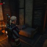 novigrad, closed city II - witcher 3 tips