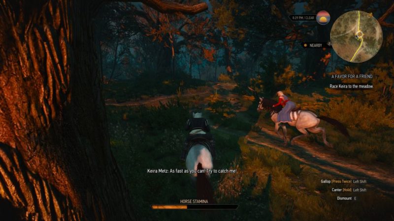 the witcher 3 - a favor for a friend walkthrough and guide