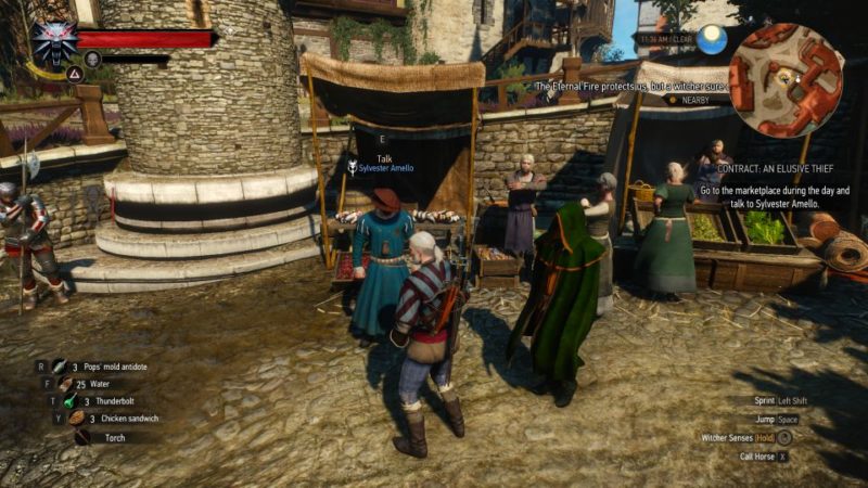 the witcher 3 - an elusive thief guide