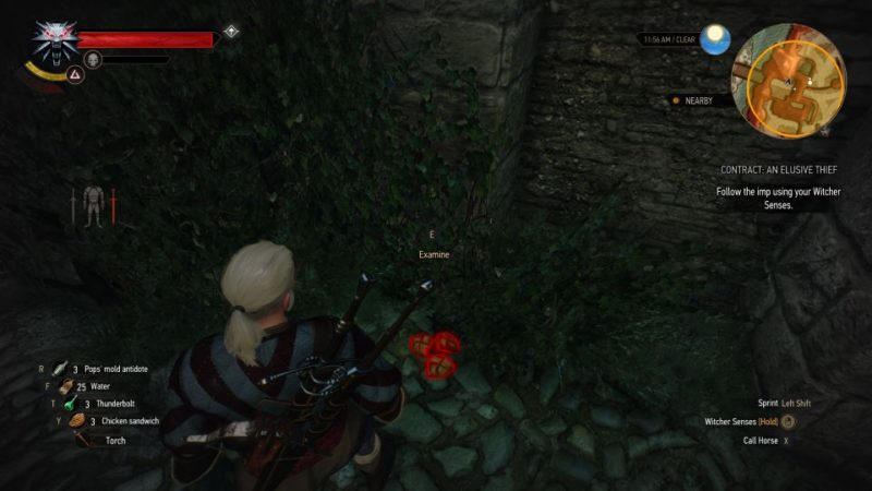 the witcher 3 - an elusive thief quest guide