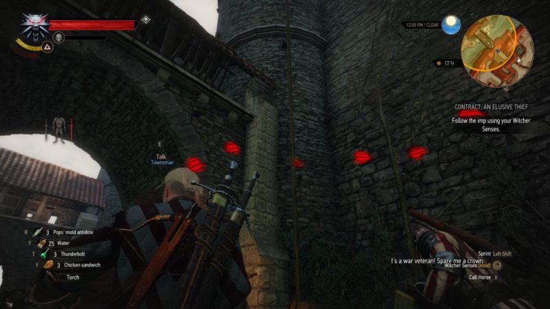 the witcher 3 - an elusive thief walkthrough