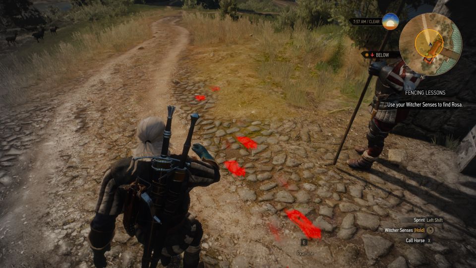 Fencing Lessons The Witcher 3 Walkthrough And Guide